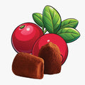 Cranberry chocolate truffles - bulk